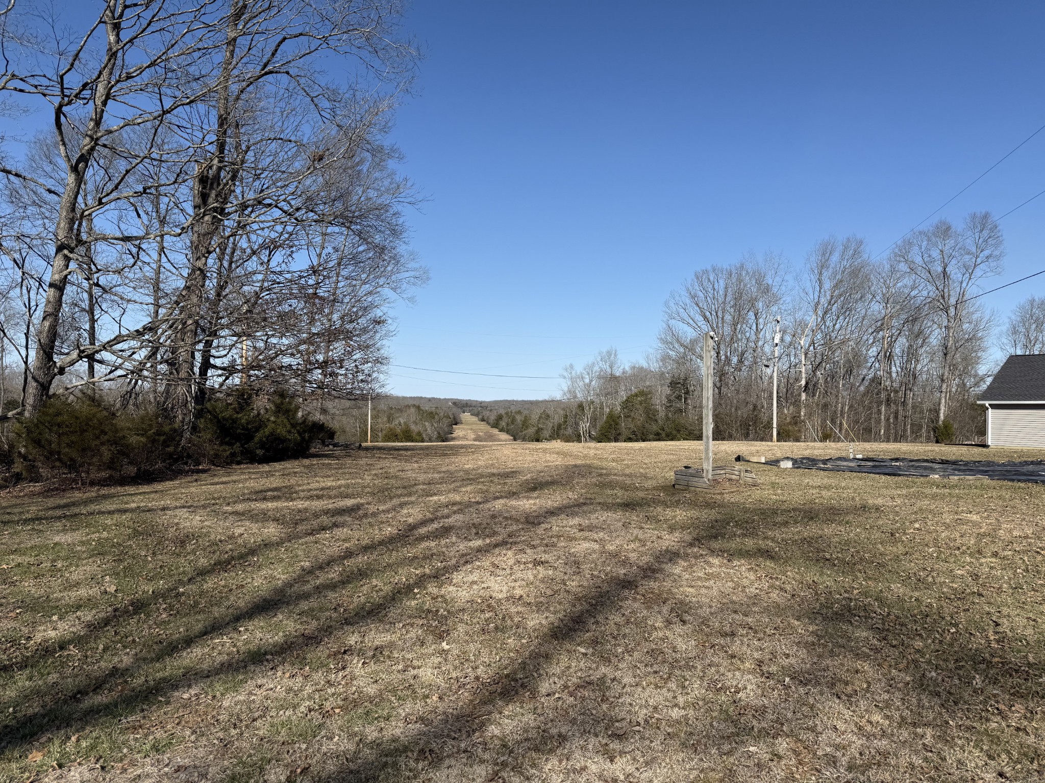 2185 Joe Brown Road Spring Hill, TN 37174 - Photo 66 of 96 a view of dirt yard with a large tree