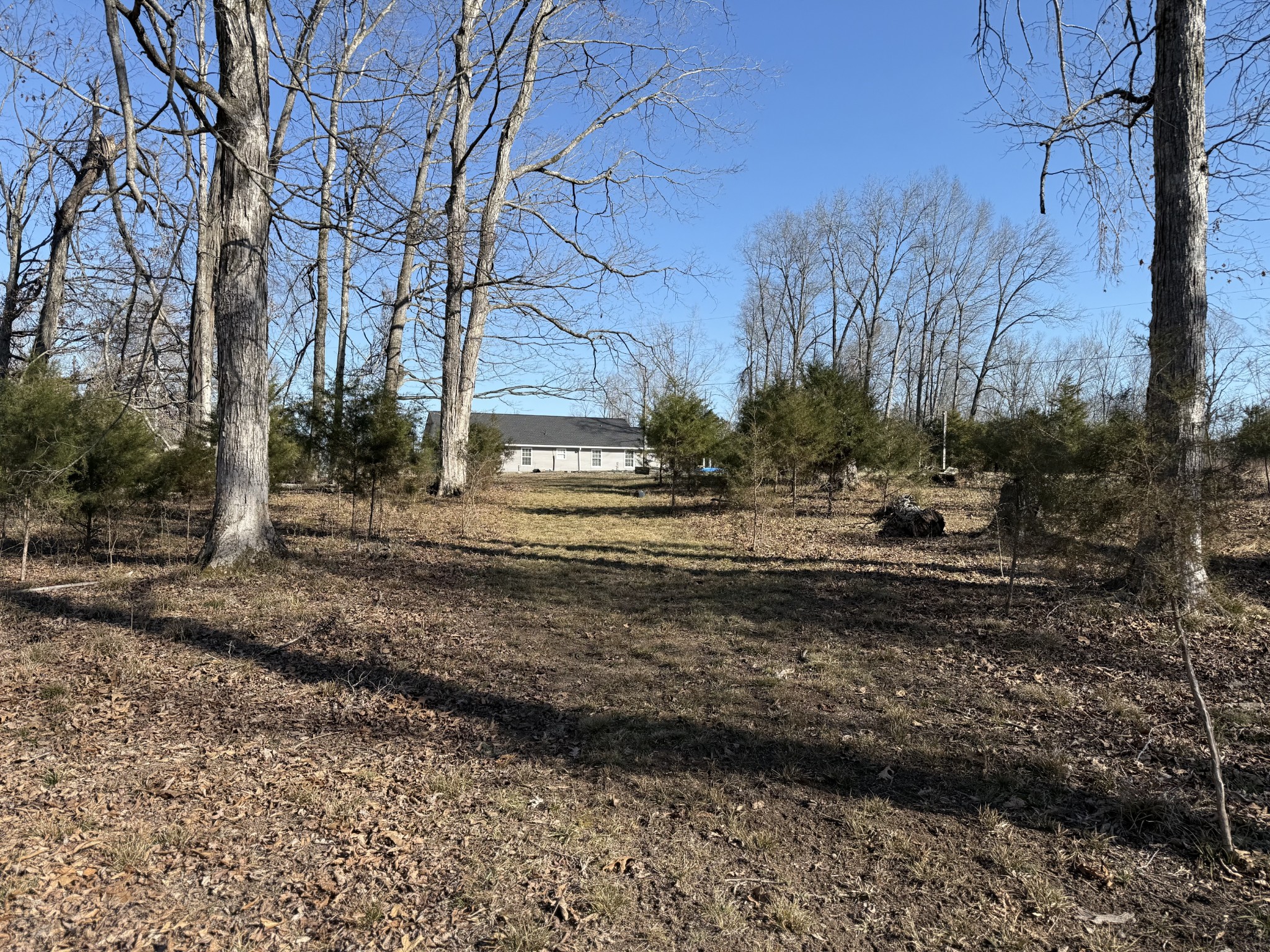 2185 Joe Brown Road Spring Hill, TN 37174 - Photo 73 of 96 a view of a yard with green space