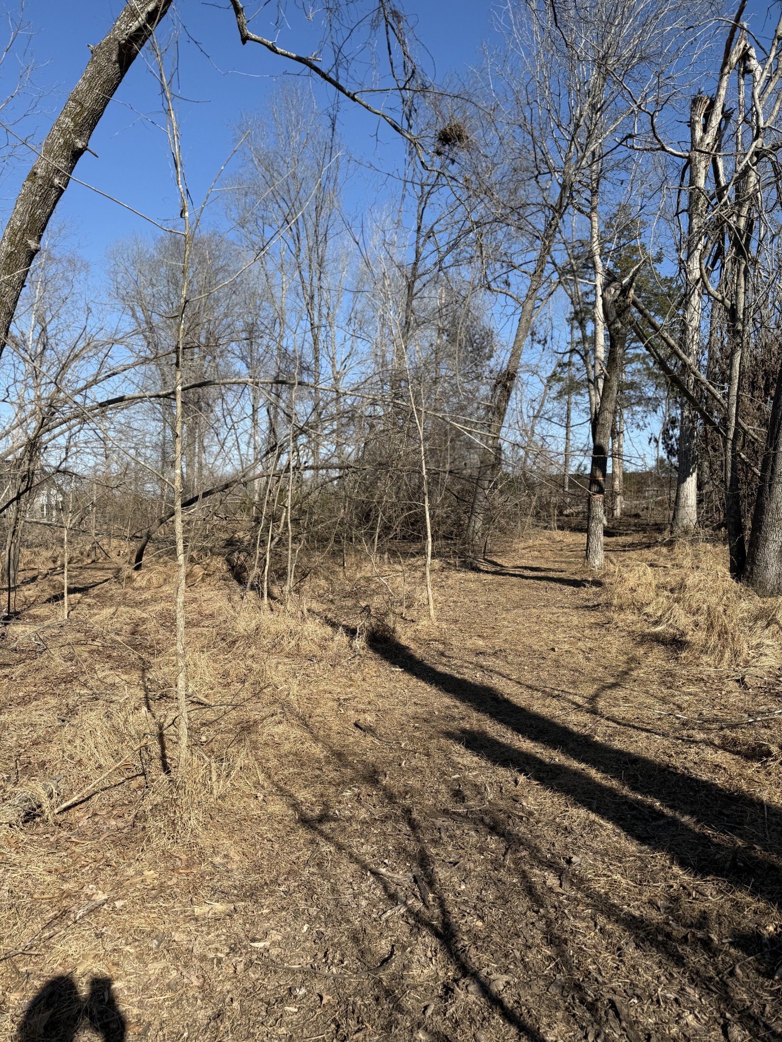 2185 Joe Brown Road Spring Hill, TN 37174 - Photo 75 of 96 a backyard of a house