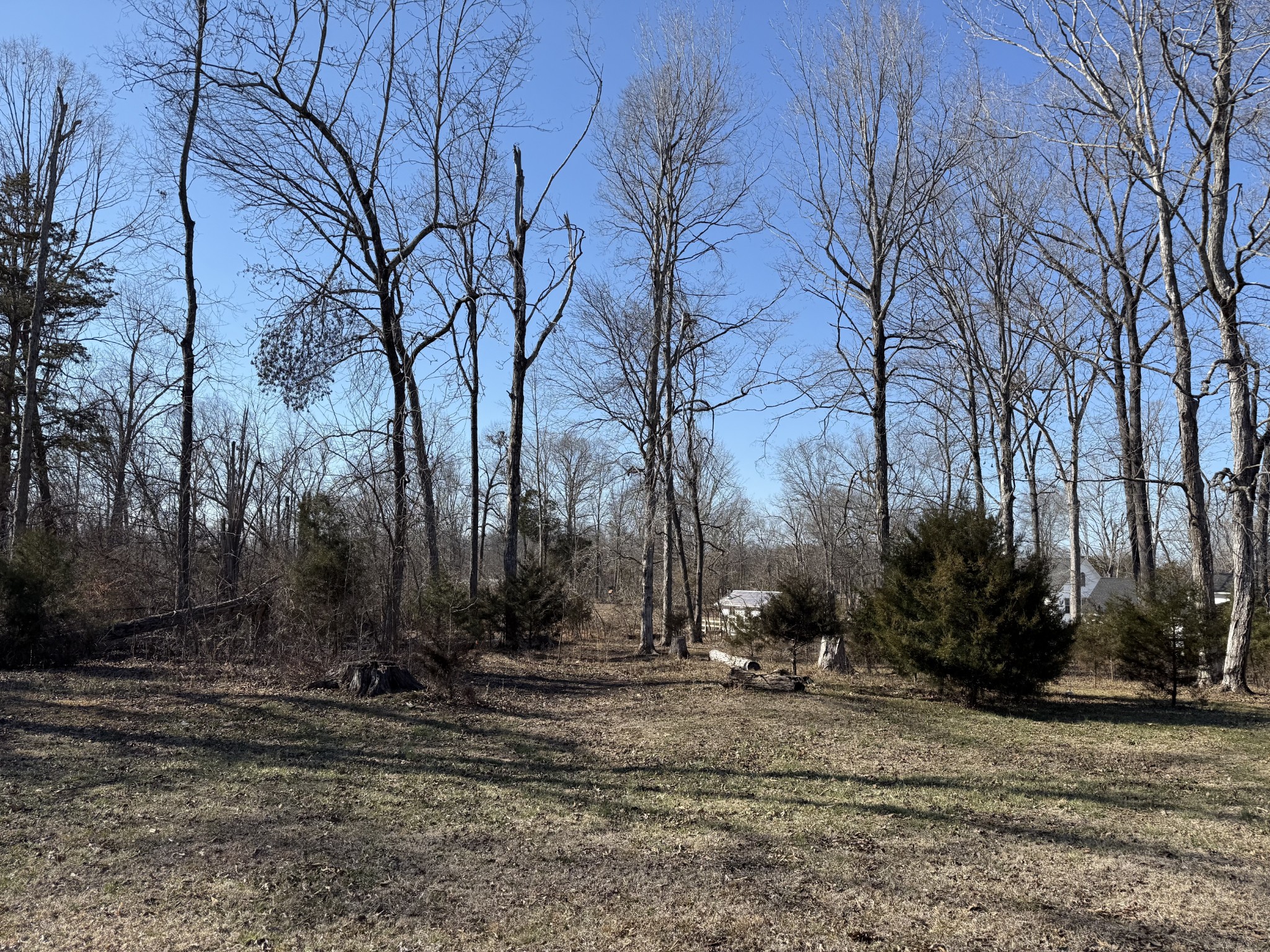 2185 Joe Brown Road Spring Hill, TN 37174 - Photo 76 of 96