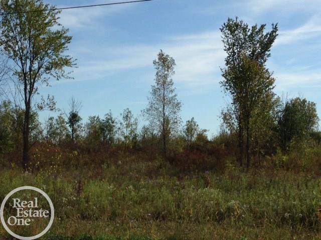 2959 Springborn Road East China, MI 48054 - Photo 2 of 11