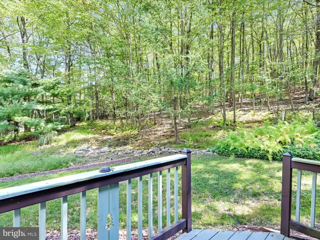 a view of backyard with green space