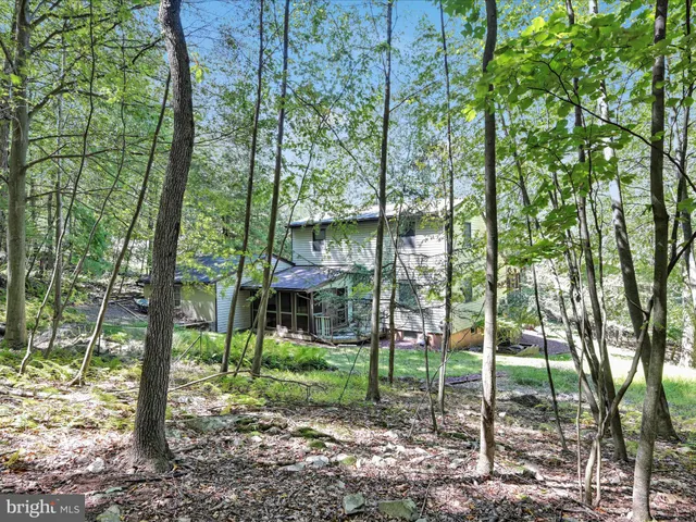 a view of a park that has large trees
