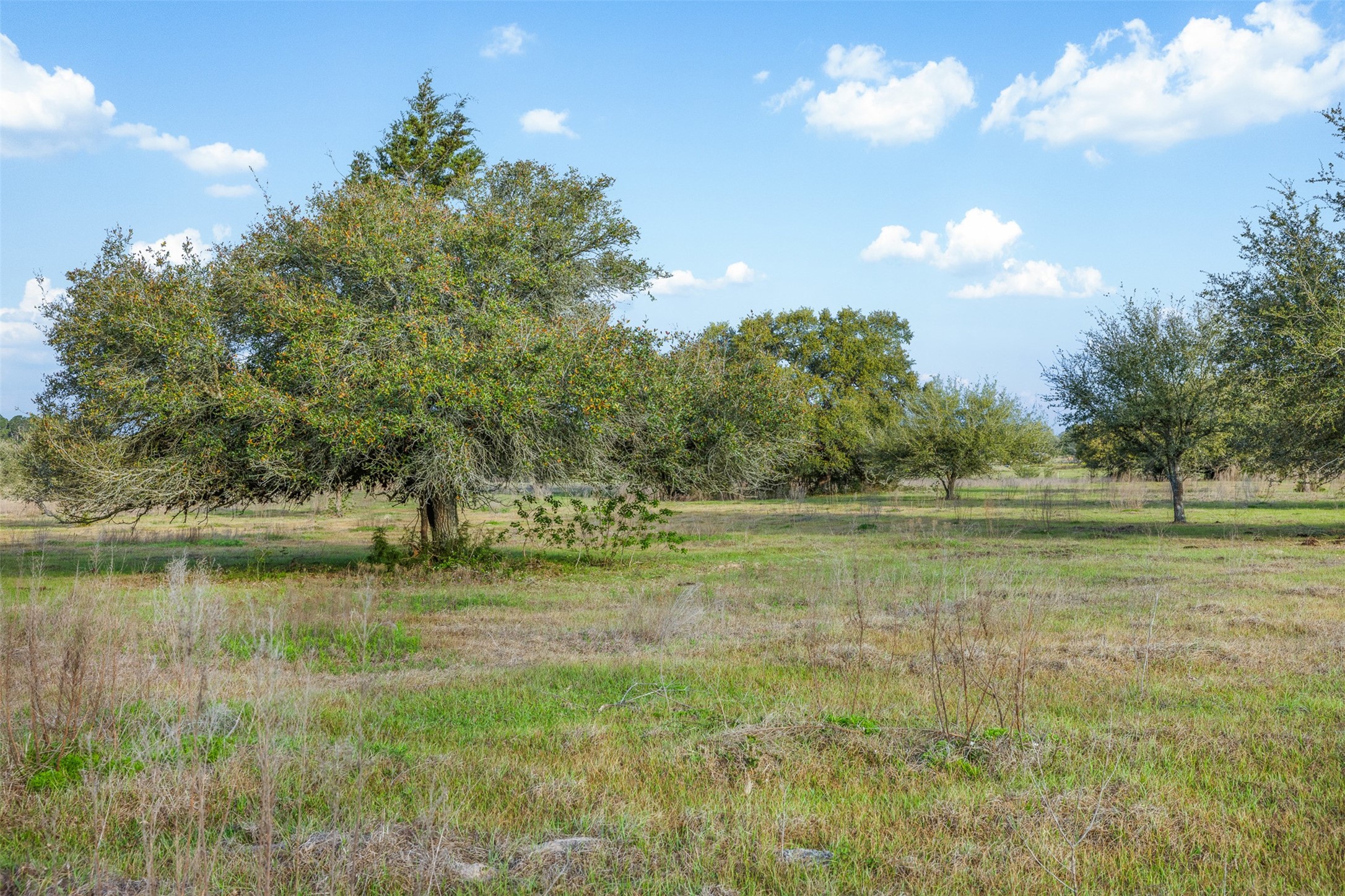 1017 New Ulm Road Cat Spring, TX 78933 - Photo 10 of 25
