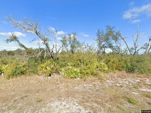 a view of a yard with a tree