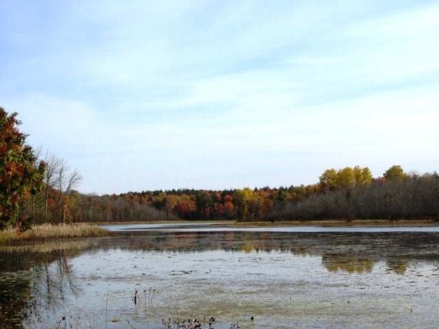 6086 Cramer Lake Road Mercer, WI 54547 - Photo 15 of 18 Gallery Image 15