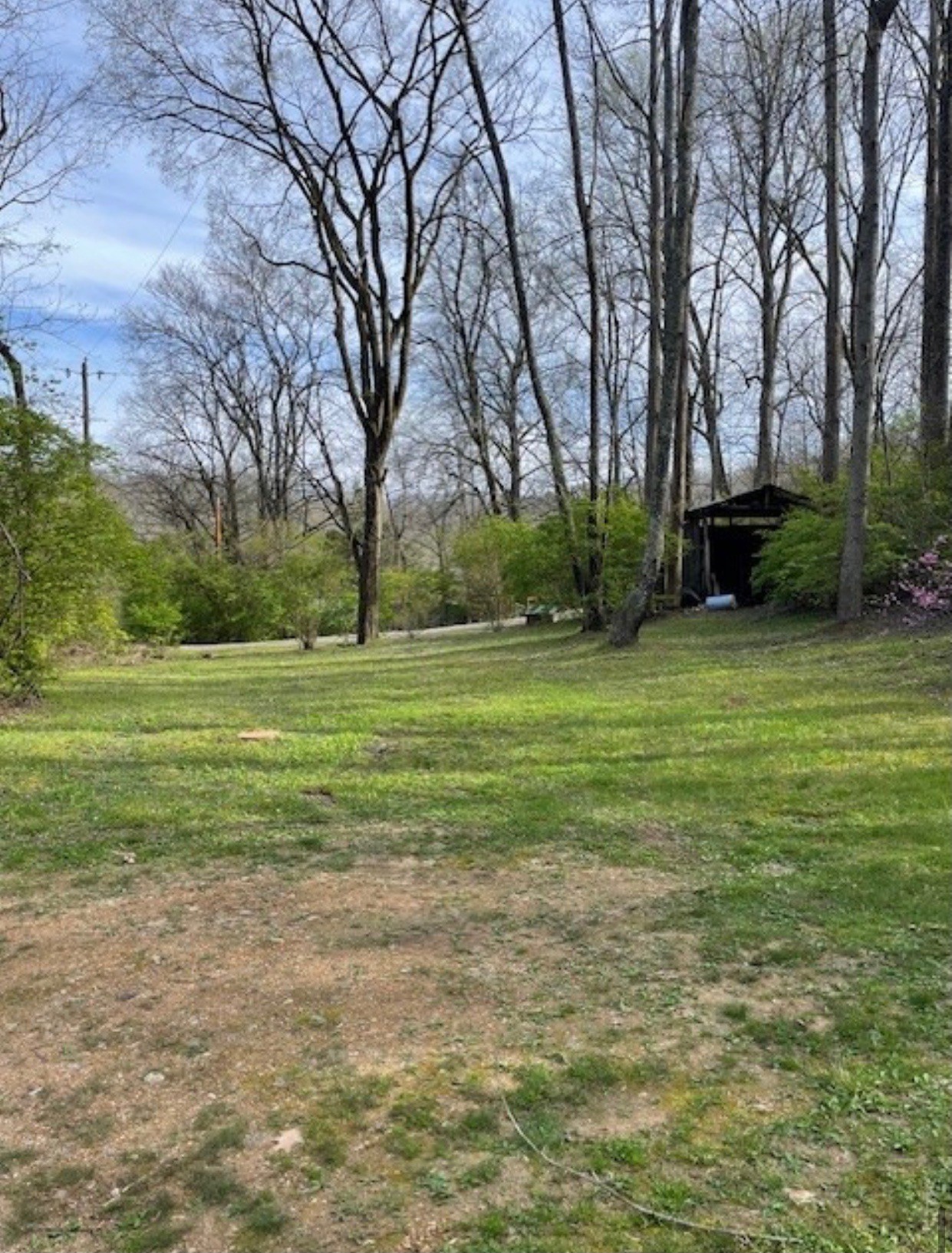 8552 Cub Creek Road Nashville, TN 37209 - Photo 1 of 45 a view of a grassy field with trees