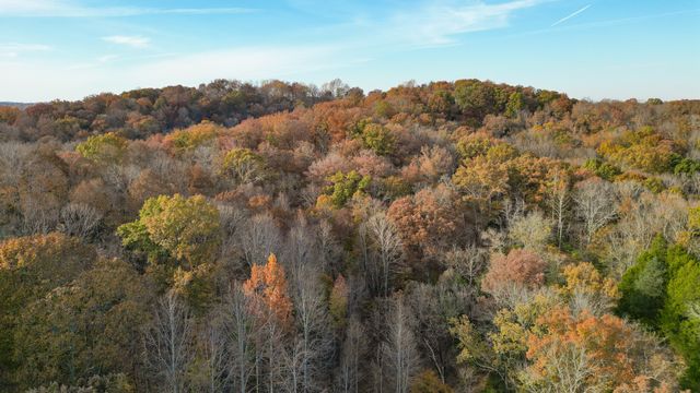 a view of a lot of trees in a field