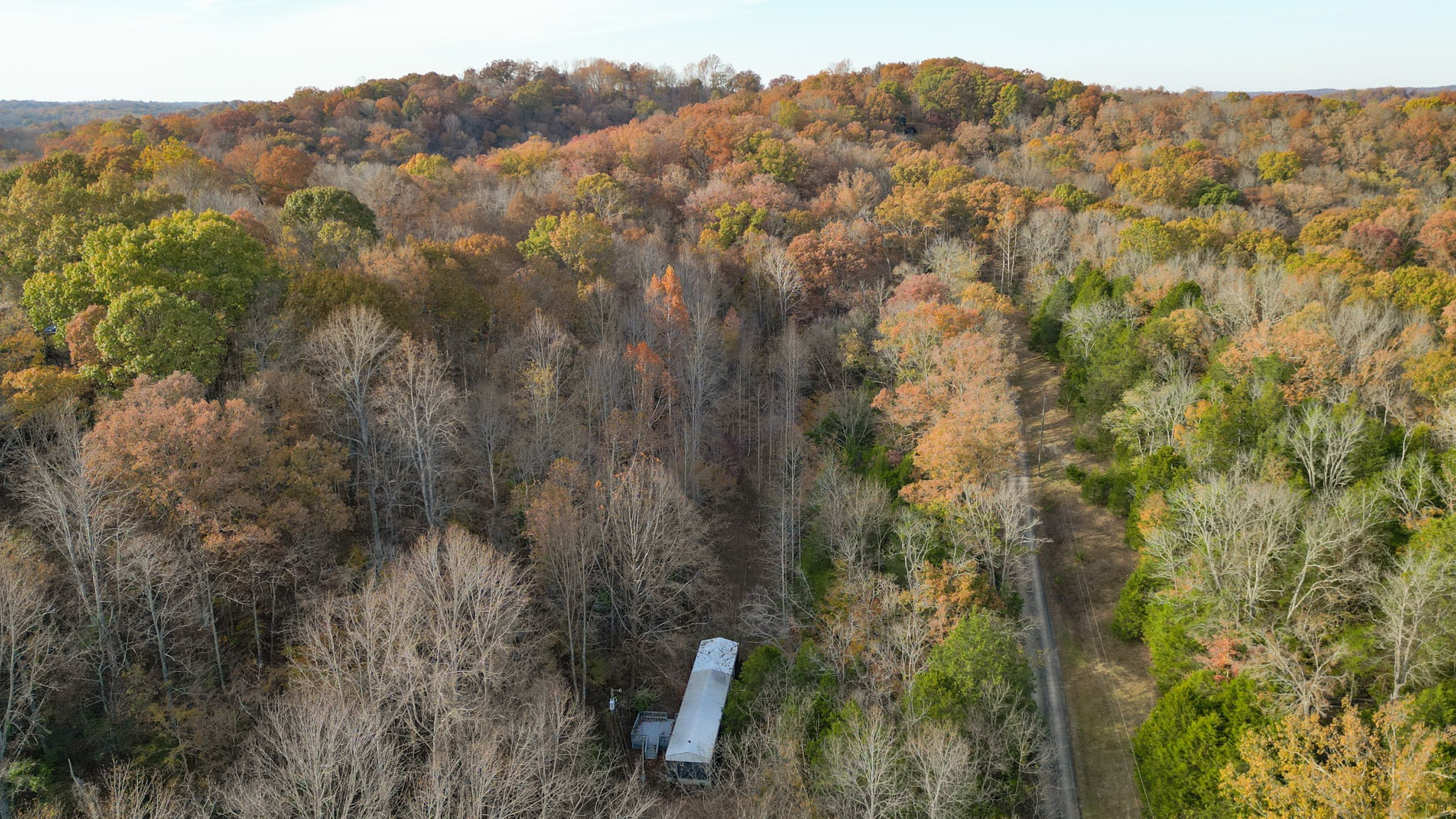 8552 Cub Creek Road Nashville, TN 37209 - Photo 13 of 45 a view of a forest with a tree