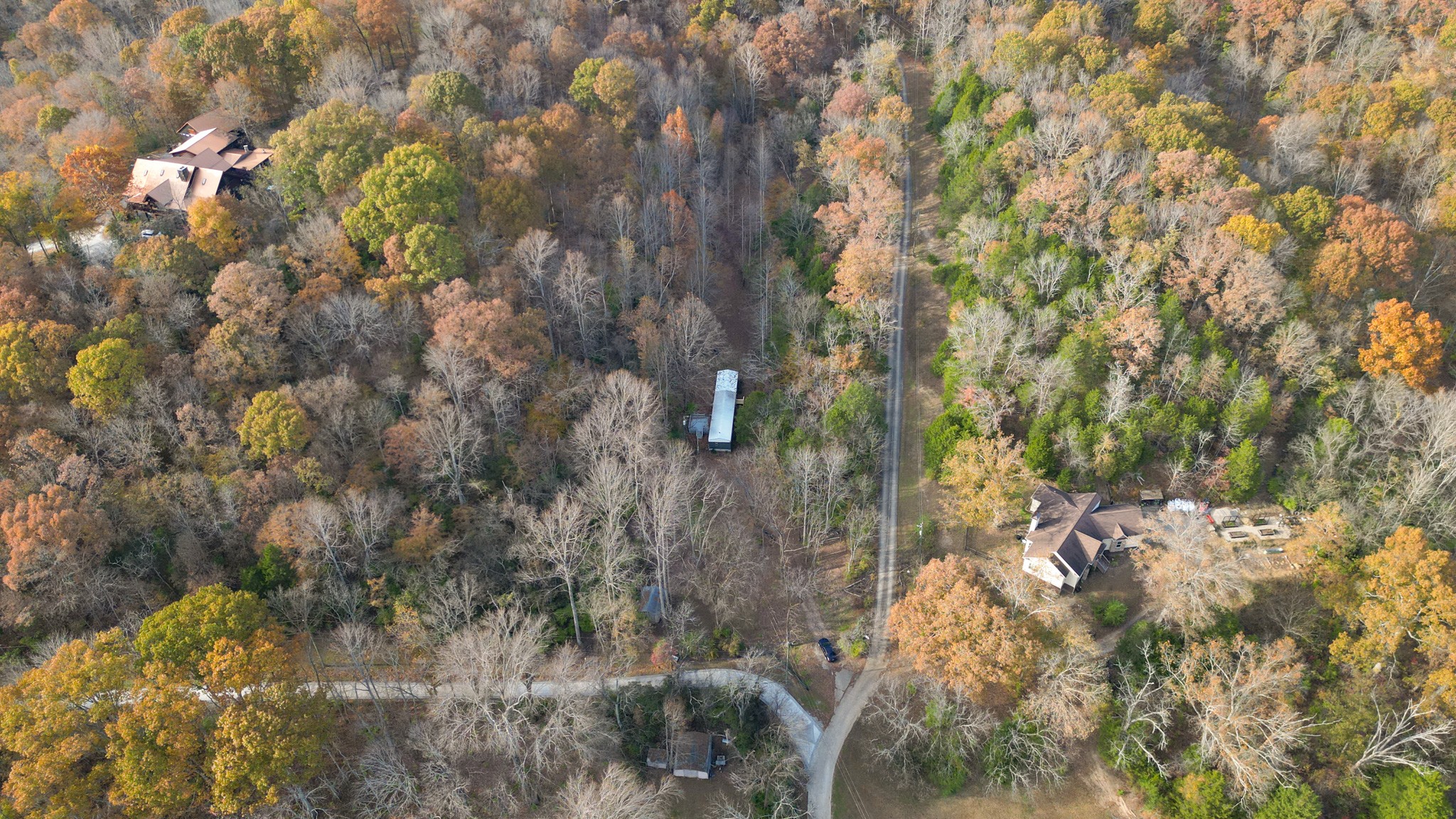 8552 Cub Creek Road Nashville, TN 37209 - Photo 16 of 45 a view of a tree