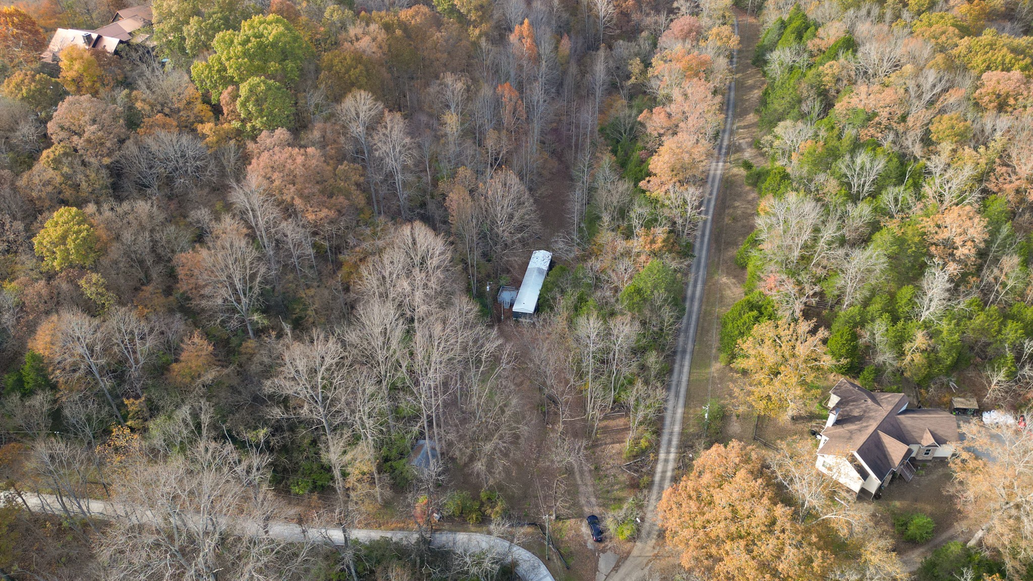 8552 Cub Creek Road Nashville, TN 37209 - Photo 17 of 45 a view of a tree in a forest