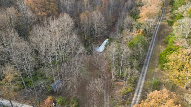 a close up of a plant in a garden