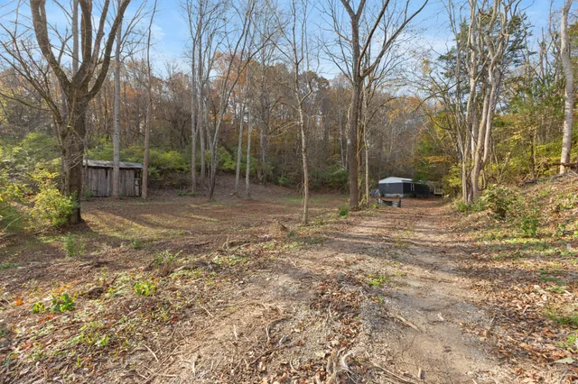 a backyard of a house with lots of green space