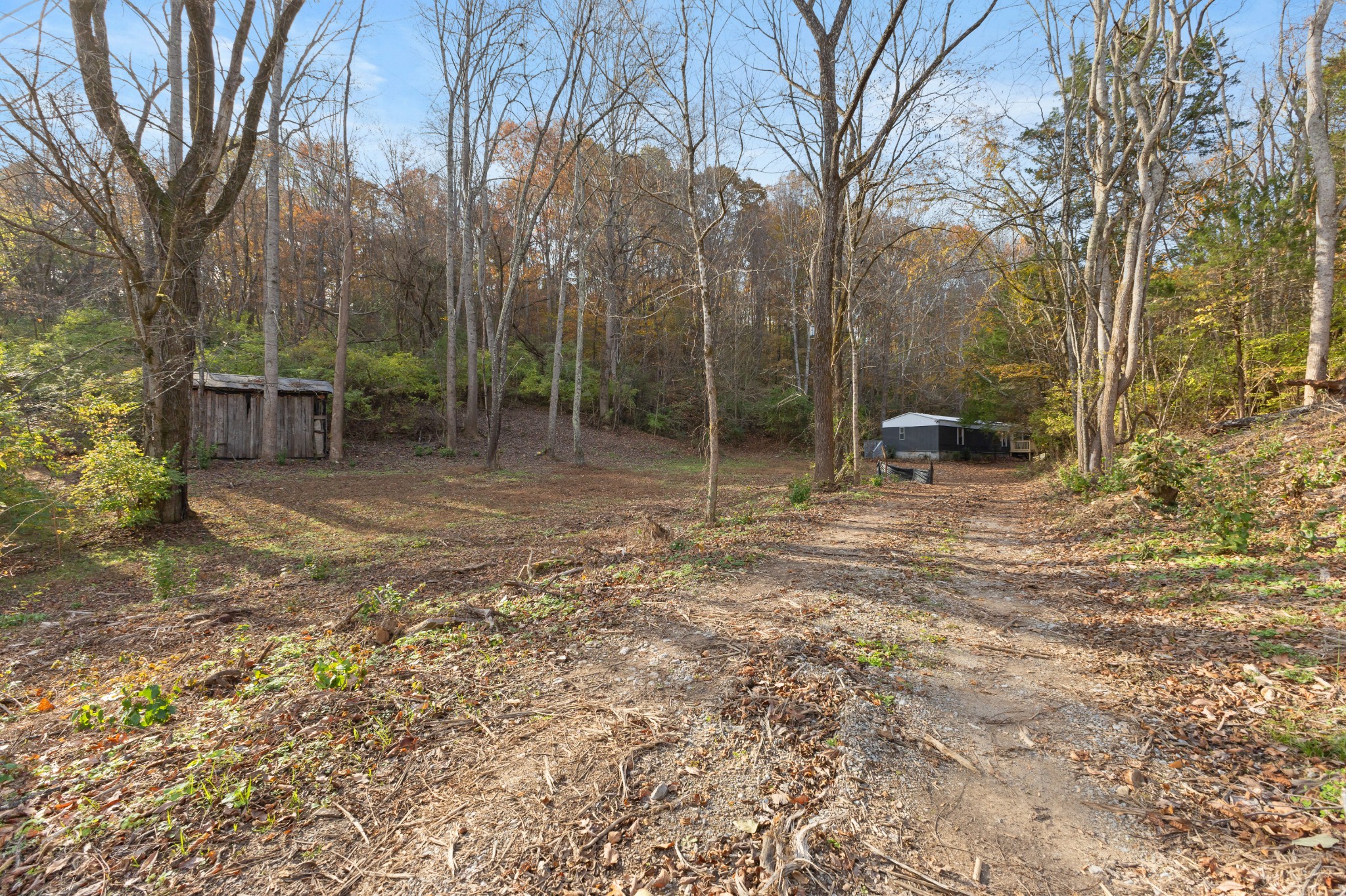 8552 Cub Creek Road Nashville, TN 37209 - Photo 19 of 45 a backyard of a house with lots of green space
