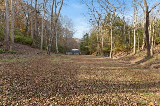 a view of outdoor space with trees