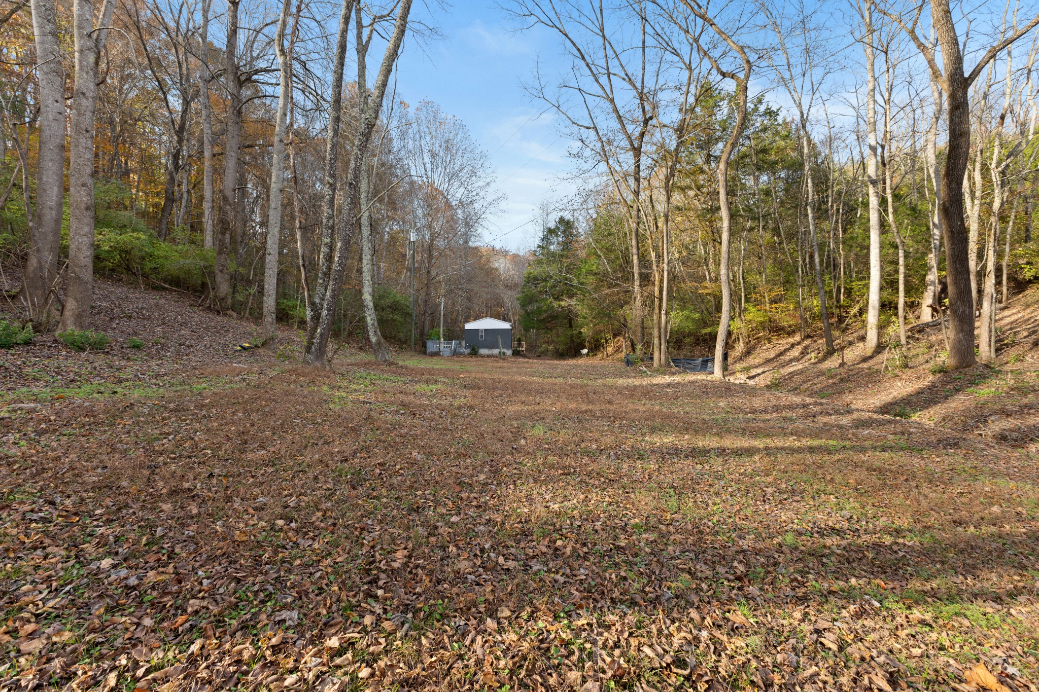 8552 Cub Creek Road Nashville, TN 37209 - Photo 20 of 45 a view of outdoor space with trees