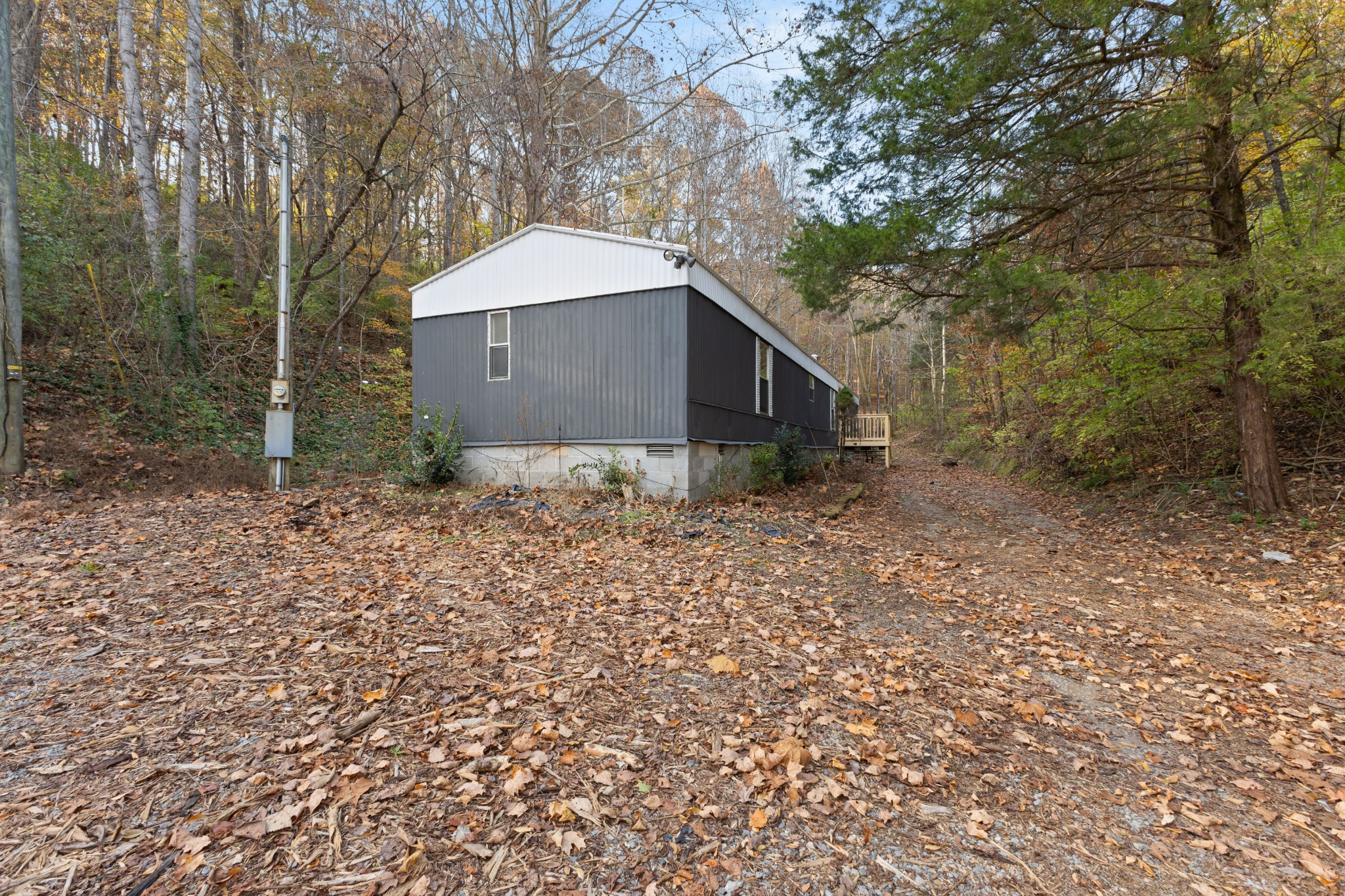 8552 Cub Creek Road Nashville, TN 37209 - Photo 21 of 45 a backyard of a house with lots of green space