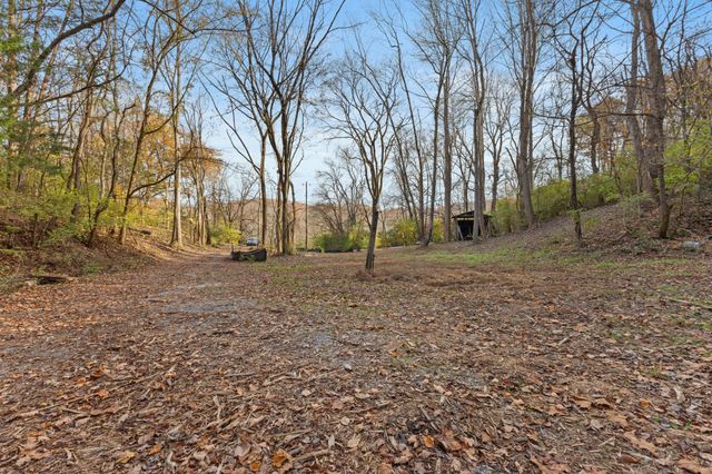a backyard of apartments with large trees