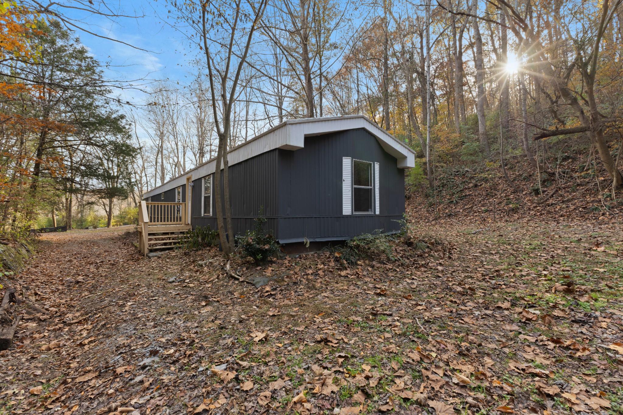 8552 Cub Creek Road Nashville, TN 37209 - Photo 23 of 45 a backyard of a house with lots of green space