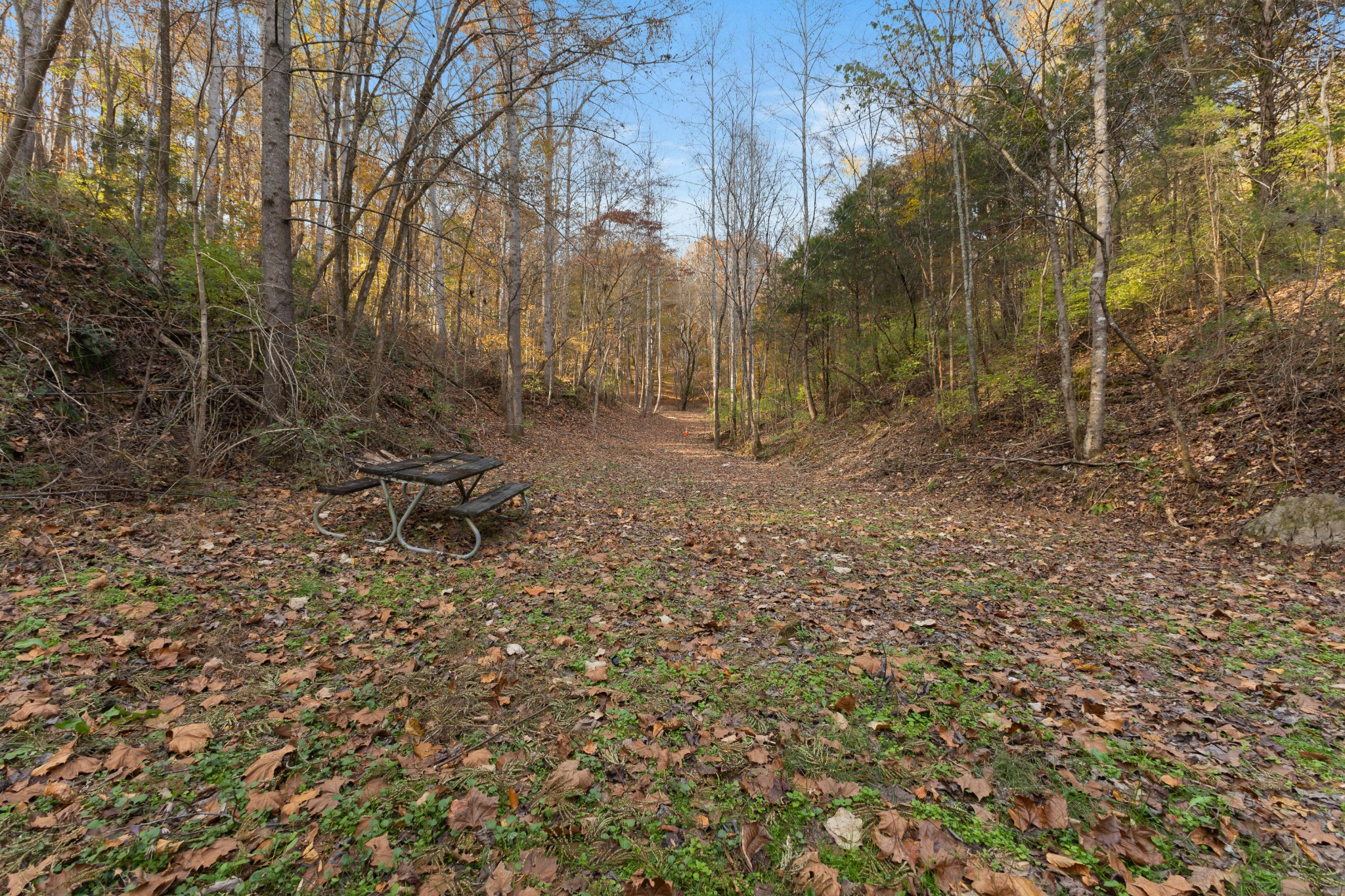 8552 Cub Creek Road Nashville, TN 37209 - Photo 26 of 45 a backyard of a house with table and chairs