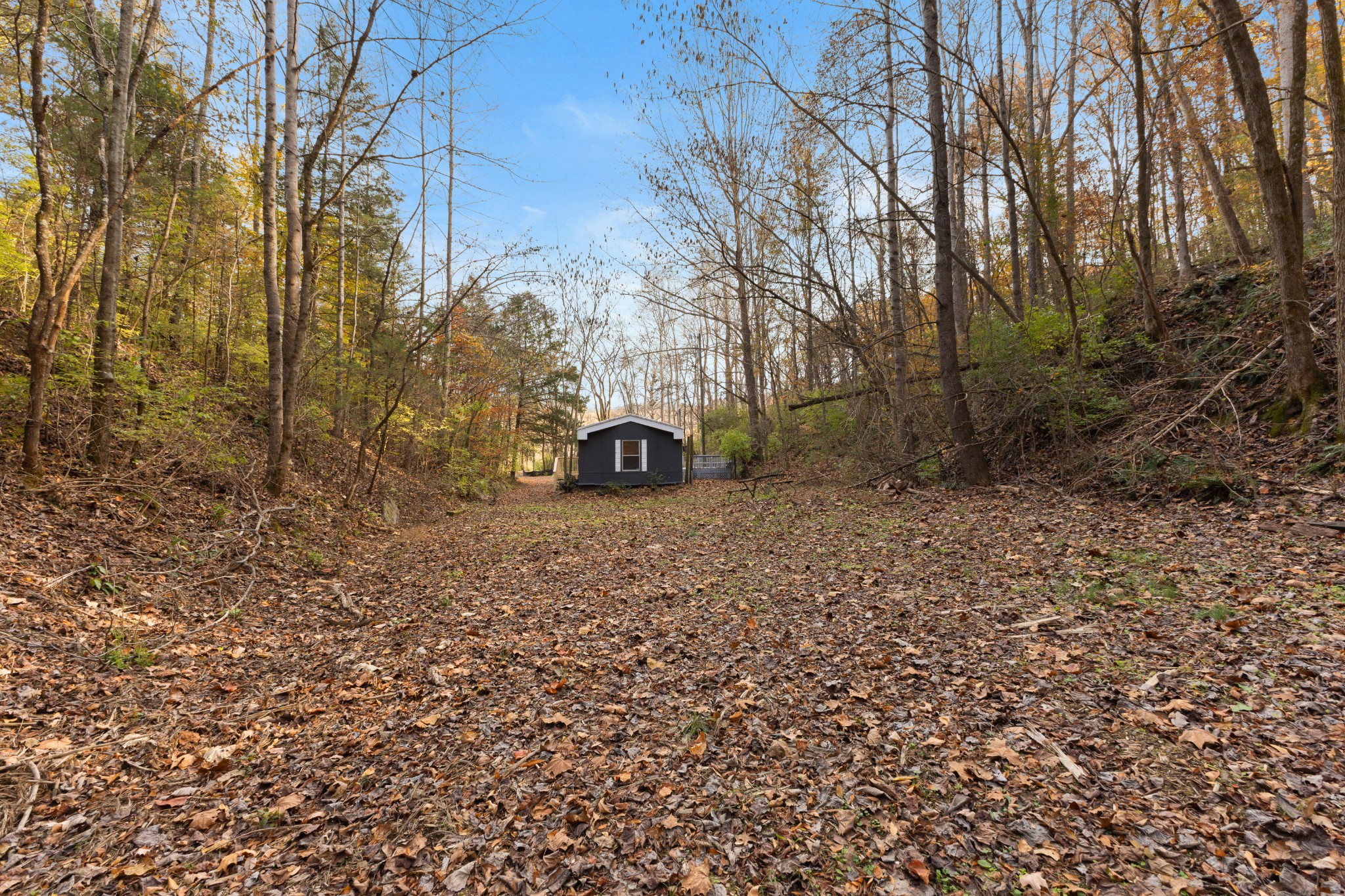 8552 Cub Creek Road Nashville, TN 37209 - Photo 27 of 45 a view of a backyard with large trees