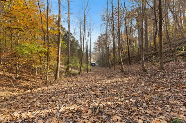 a view of a backyard