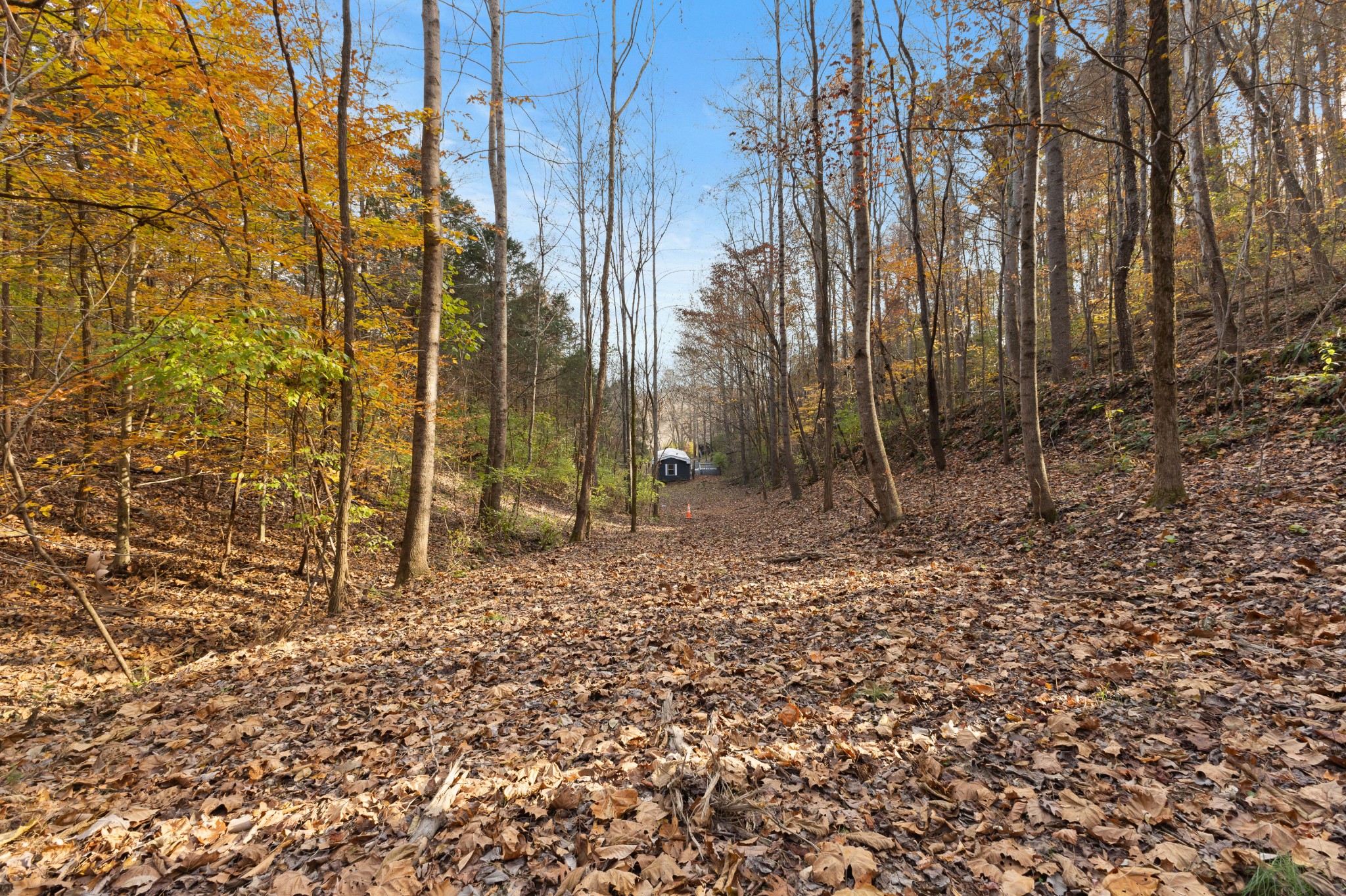 8552 Cub Creek Road Nashville, TN 37209 - Photo 28 of 45 a view of a backyard