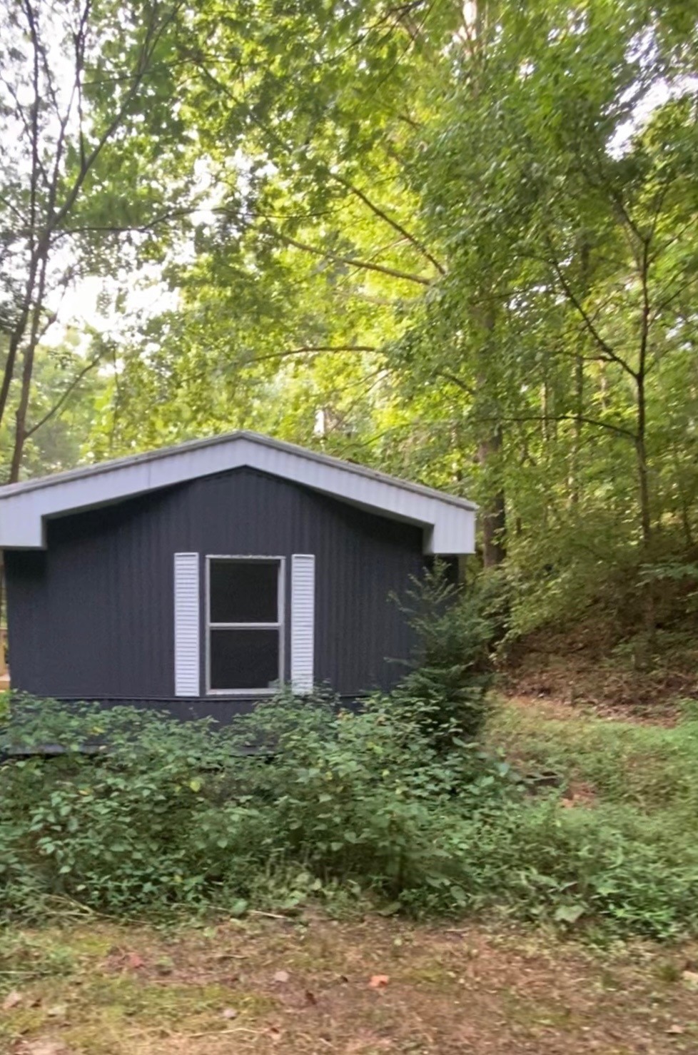 8552 Cub Creek Road Nashville, TN 37209 - Photo 4 of 45 a backyard of a house with lots of green space