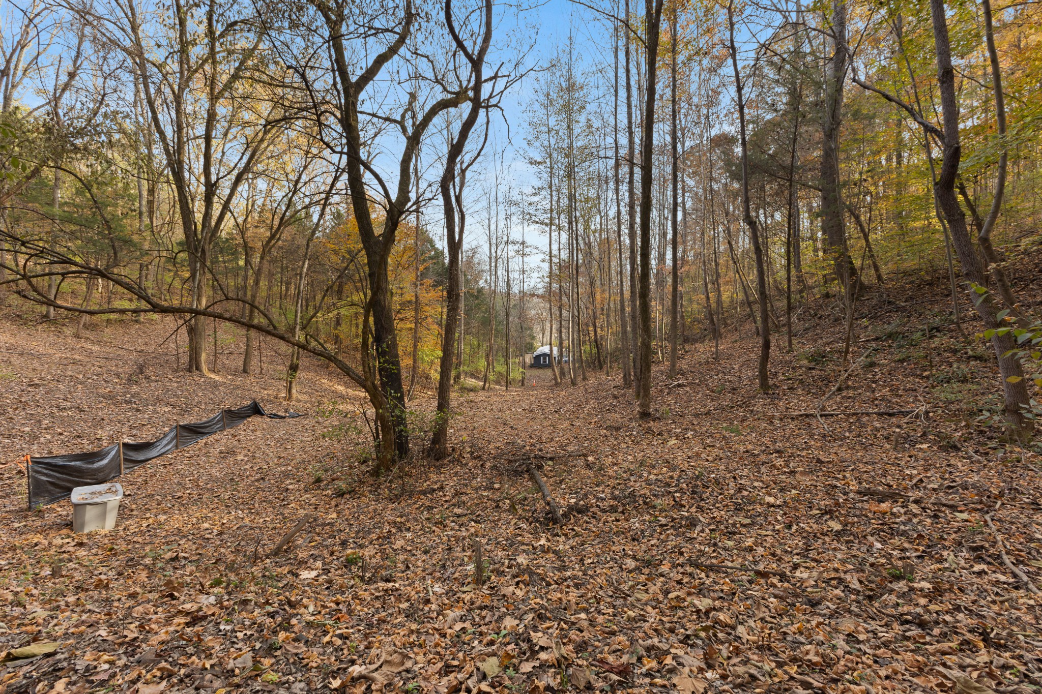 8552 Cub Creek Road Nashville, TN 37209 - Photo 44 of 45 a backyard of a house with lots of green space