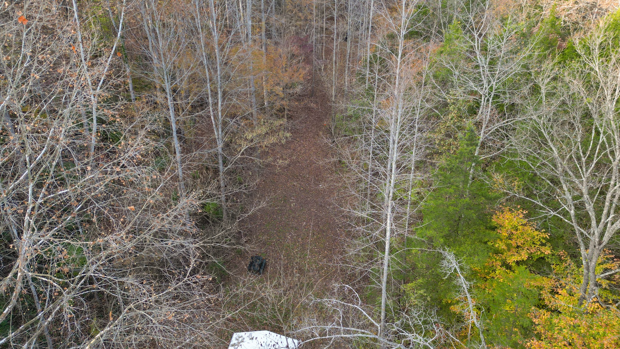 8552 Cub Creek Road Nashville, TN 37209 - Photo 8 of 45 a close up of a plant in a bathroom