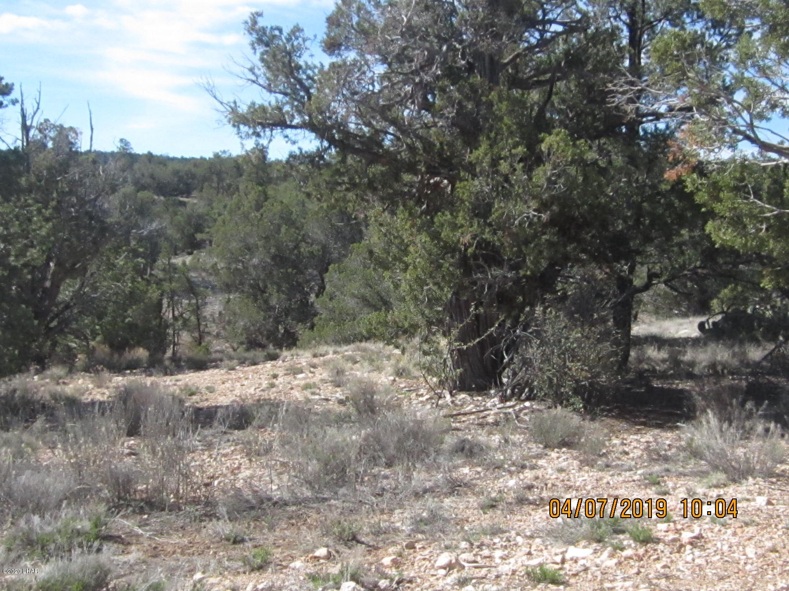 765 Pump House Road Seligman, AZ 86337 - Photo 20 of 70 082