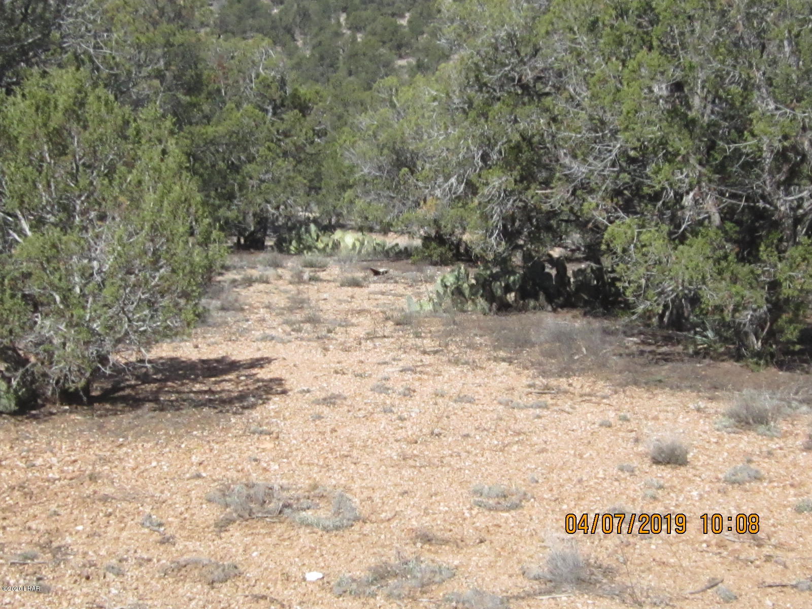 765 Pump House Road Seligman, AZ 86337 - Photo 42 of 70 095