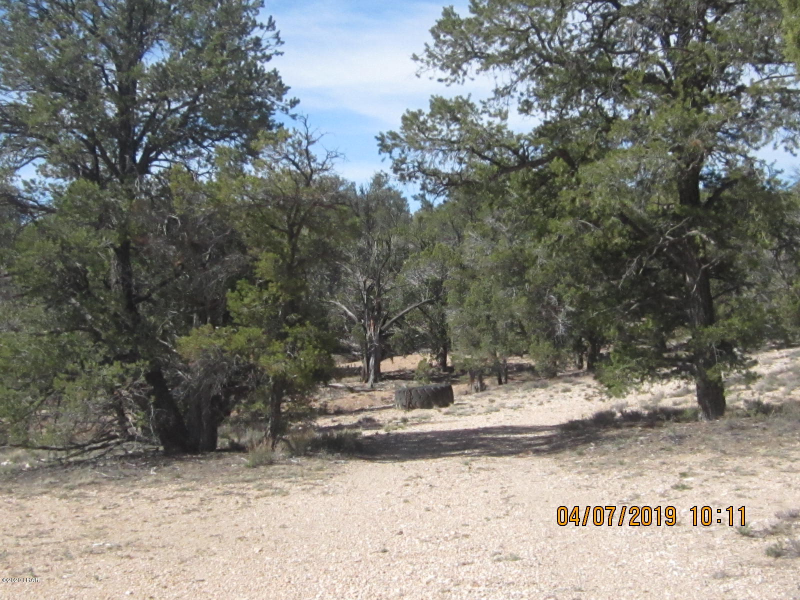 765 Pump House Road Seligman, AZ 86337 - Photo 46 of 70 105
