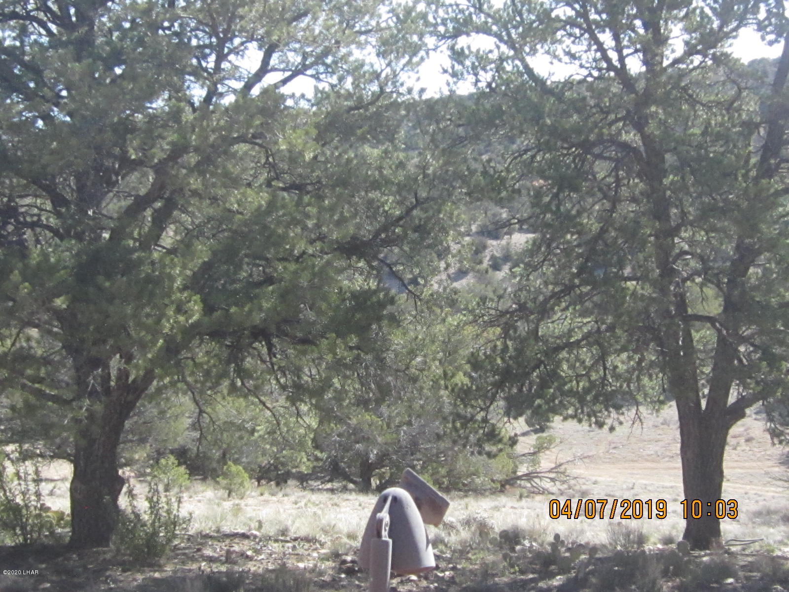 765 Pump House Road Seligman, AZ 86337 - Photo 52 of 70 080