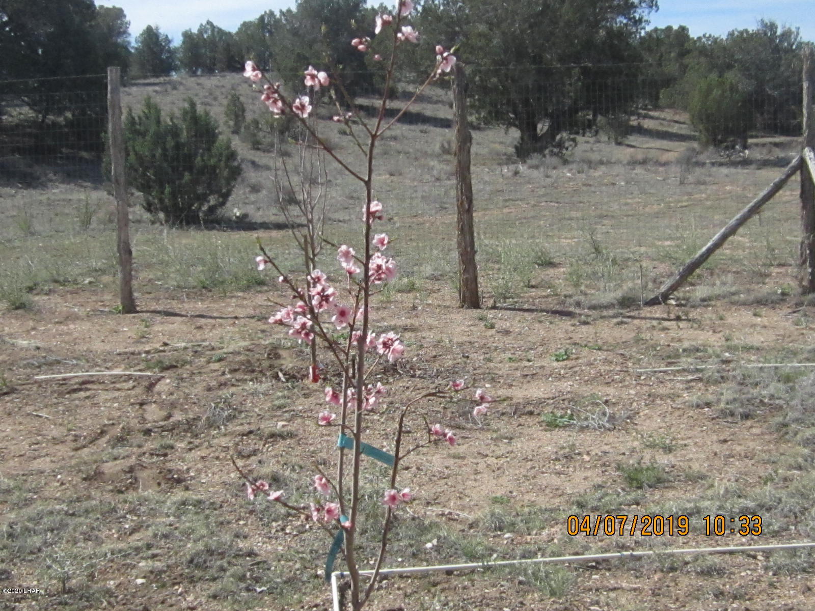 765 Pump House Road Seligman, AZ 86337 - Photo 65 of 70 152