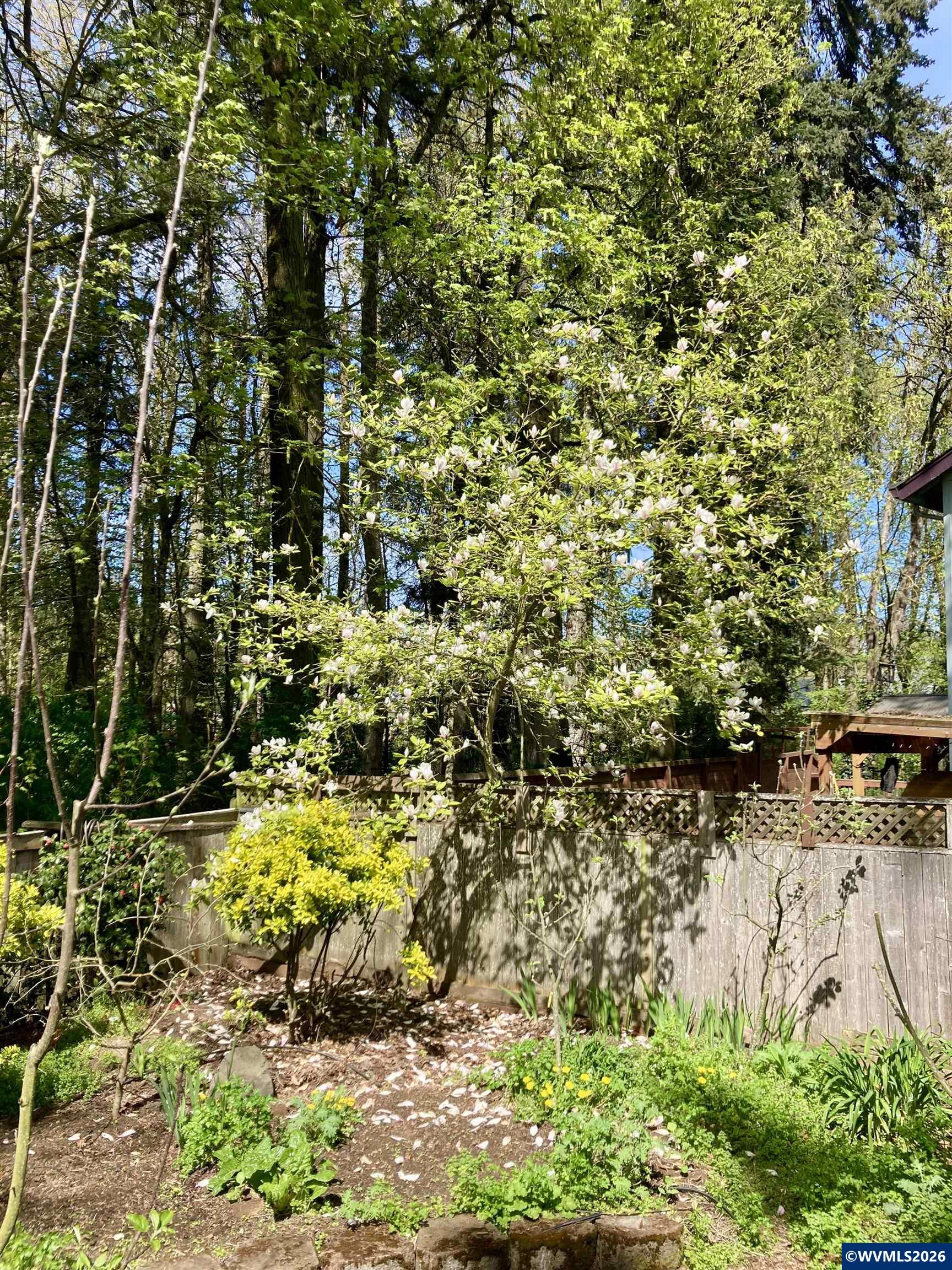 4366 Berry Lane Eugene, OR 97404 - Photo 41 of 42