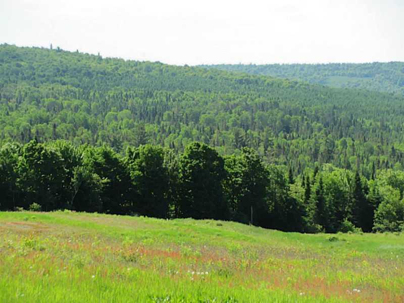 596 New Canada Road Fort Kent, ME 04743 - Photo 23 of 35 Land/Lot.
