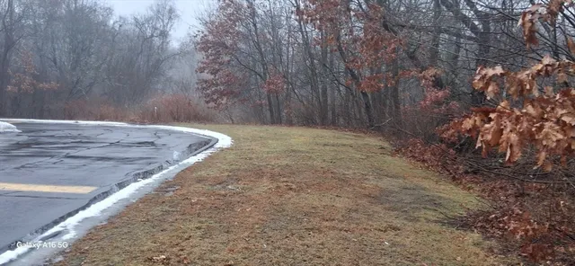 a white toilet sitting next to a shower curtain