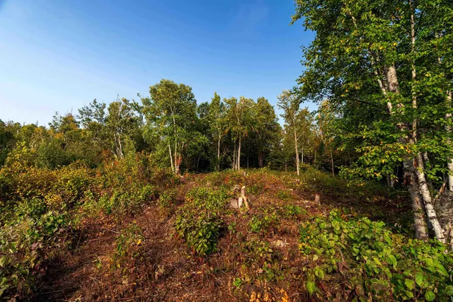 $225,000 | Xxx Tettegouche Highlands, Silver Bay, MN 55614