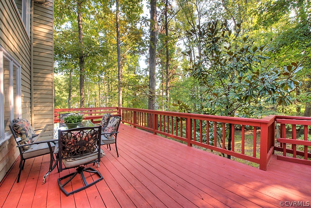 14005 Harbour Pointe Road Midlothian, VA 23112 - Photo 48 of 50