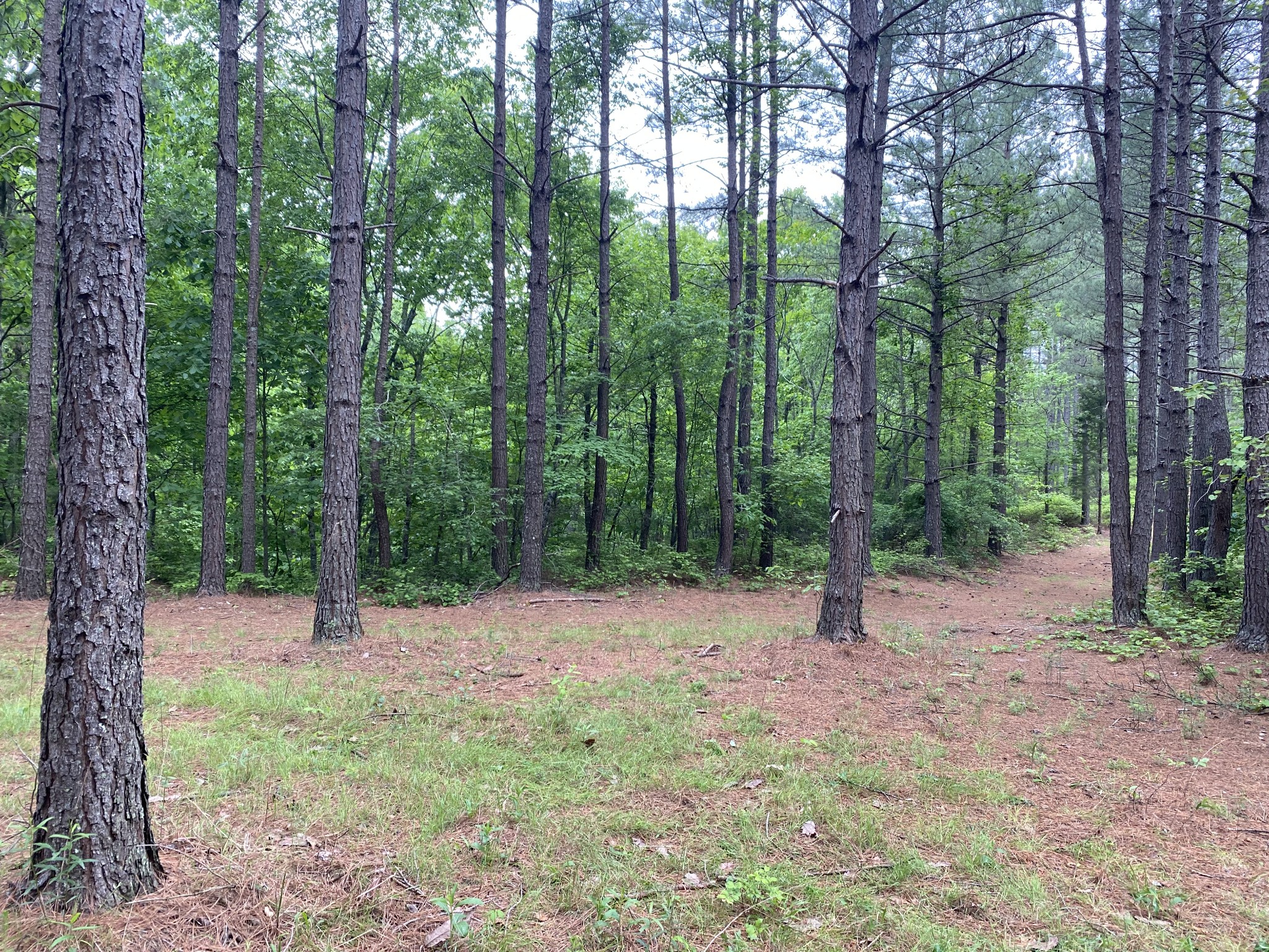 2355 Richland Harbor Road Waverly, TN 37185 - Photo 2 of 2