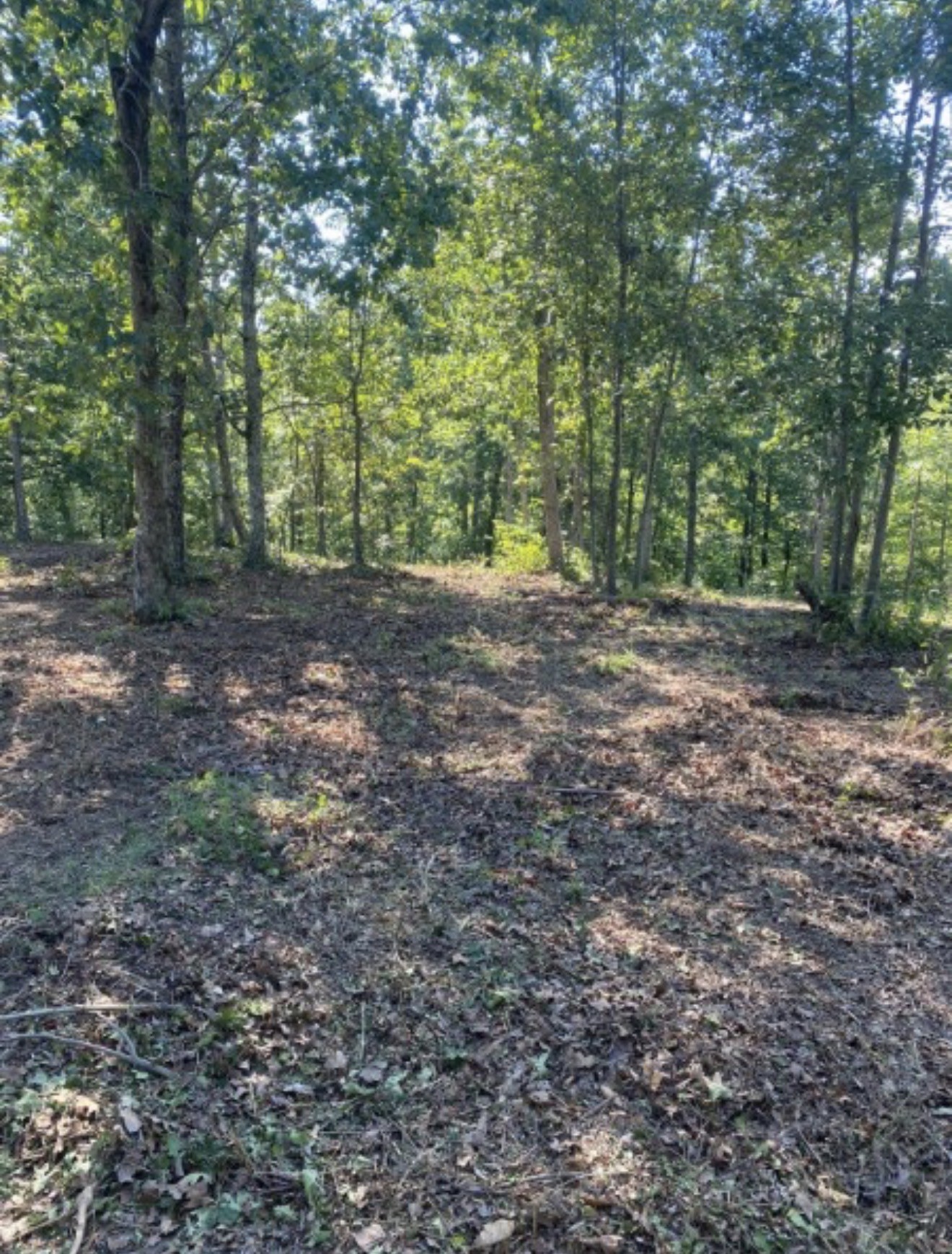 2355 Richland Harbor Road Waverly, TN 37185 - Photo 3 of 6