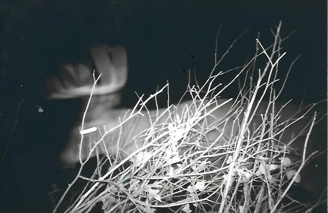 $650,000 | 1559 Stone Lake Road Southwest, Bemidji, MN 56601