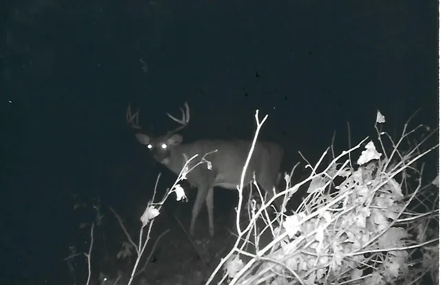 $650,000 | 1559 Stone Lake Road Southwest, Bemidji, MN 56601