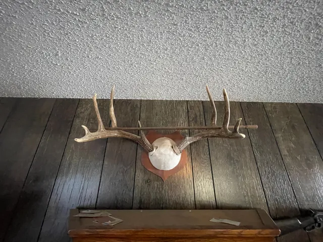 $650,000 | 1559 Stone Lake Road Southwest, Bemidji, MN 56601