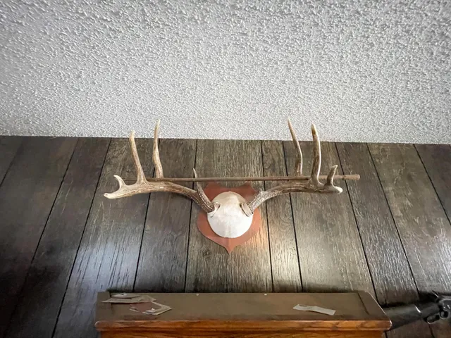 $650,000 | 1559 Stone Lake Road Southwest, Bemidji, MN 56601