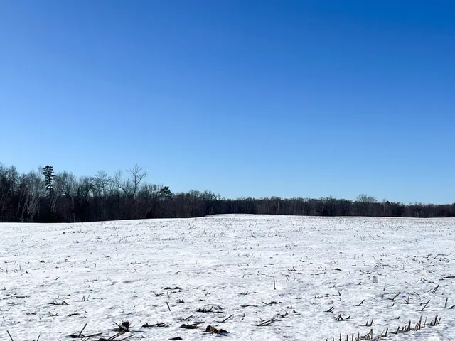 $650,000 | 1559 Stone Lake Road Southwest, Bemidji, MN 56601