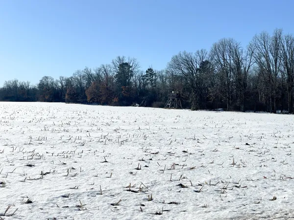 $650,000 | 1559 Stone Lake Road Southwest, Bemidji, MN 56601