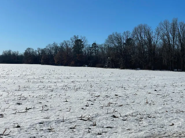 $650,000 | 1559 Stone Lake Road Southwest, Bemidji, MN 56601