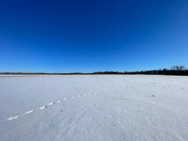 $650,000 | 1559 Stone Lake Road Southwest, Bemidji, MN 56601